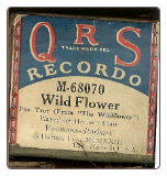 Wildflower Fox Trot, Written by Youmans - Stothart, played by Herbert Clair on a Recordo roll.  $5.00 plus S/H